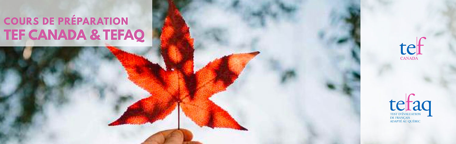 Préparation épreuves TEF Canada & TEFAQ