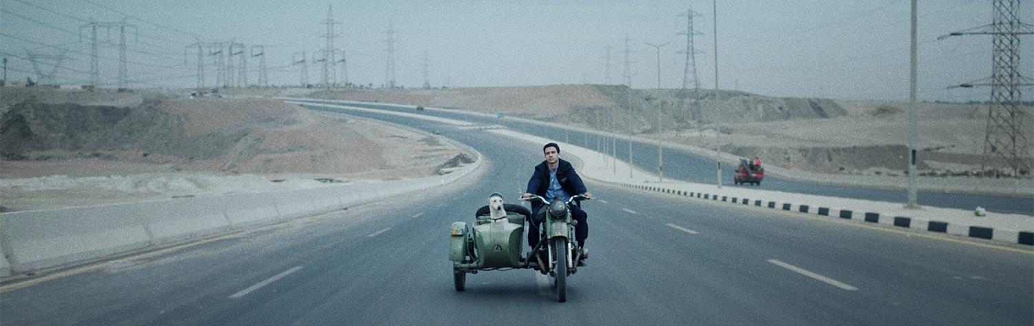 Seeking Haven For Mr. Rambo