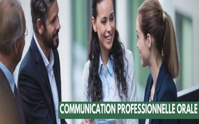 Cours de français professionnel - Communication orale professionnelle