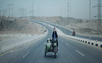 Seeking Haven For Mr. Rambo