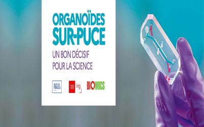Questions de Science - Organoïdes-sur-puce