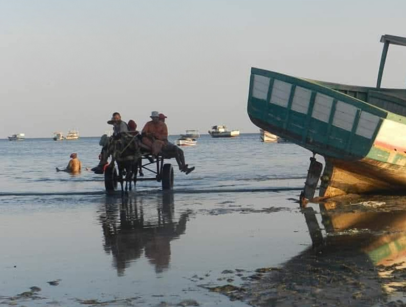 Café-Lecture : La mer